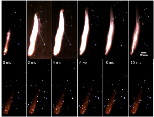 Image sequence captured of a composite solid propellant flame structure with application of microwave energy (top) and without microwave application (bottom).